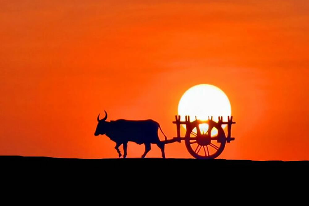 Silhouettes And Stories During Sunset By Aaditya Shrirang Bhat