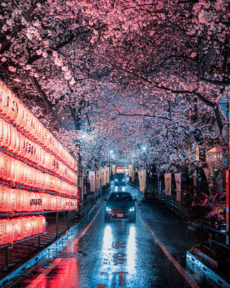 Tokyo Rain Photography By Junya Watanabe