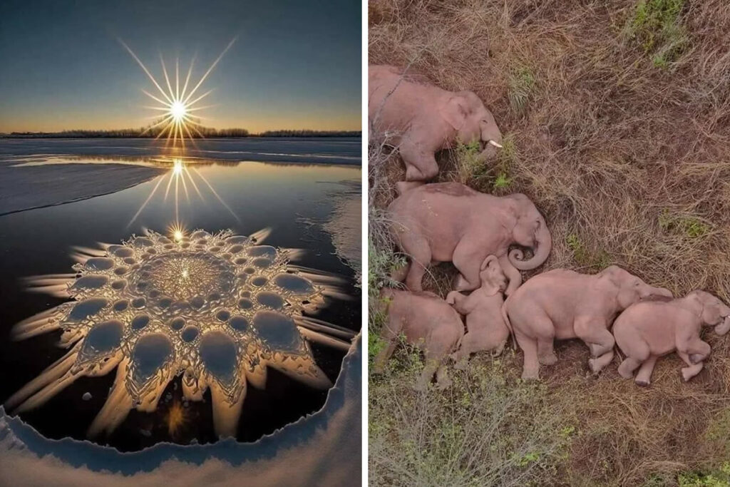 Unusual And Beautiful Photographs