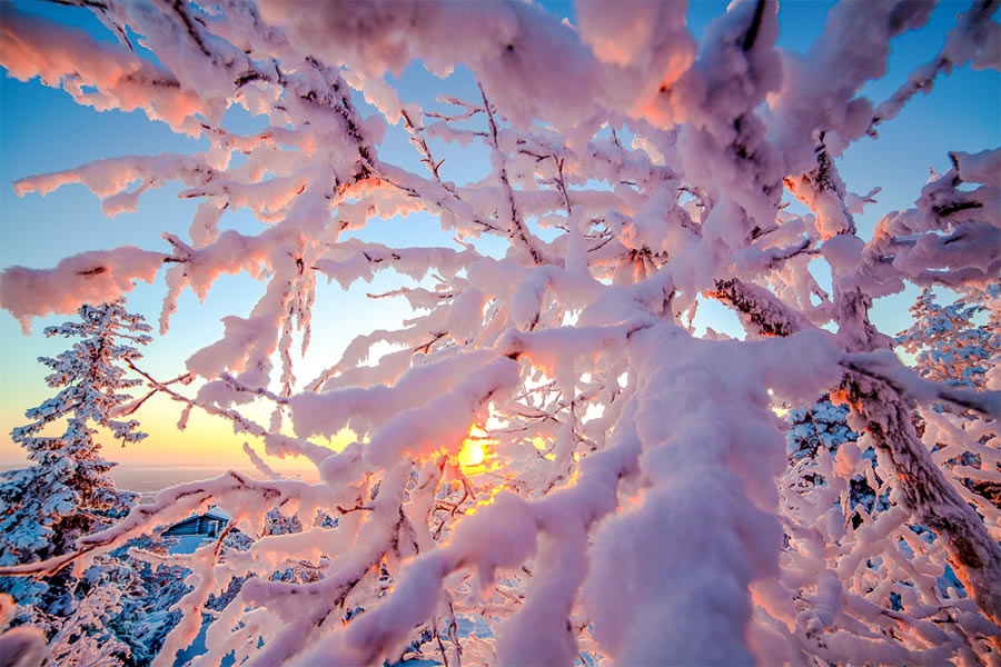 Beautiful Landscapes Of Winter