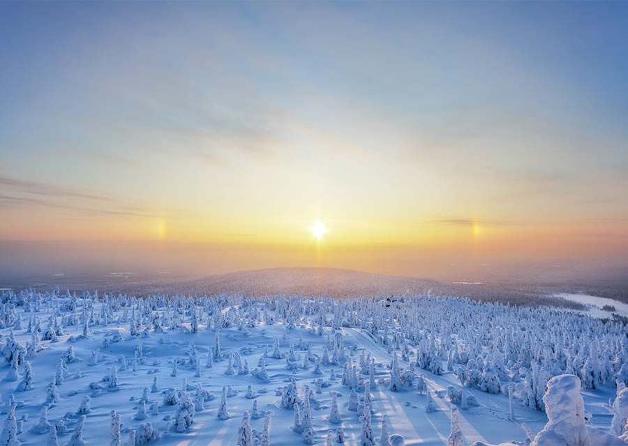 Beautiful Landscapes Of Winter