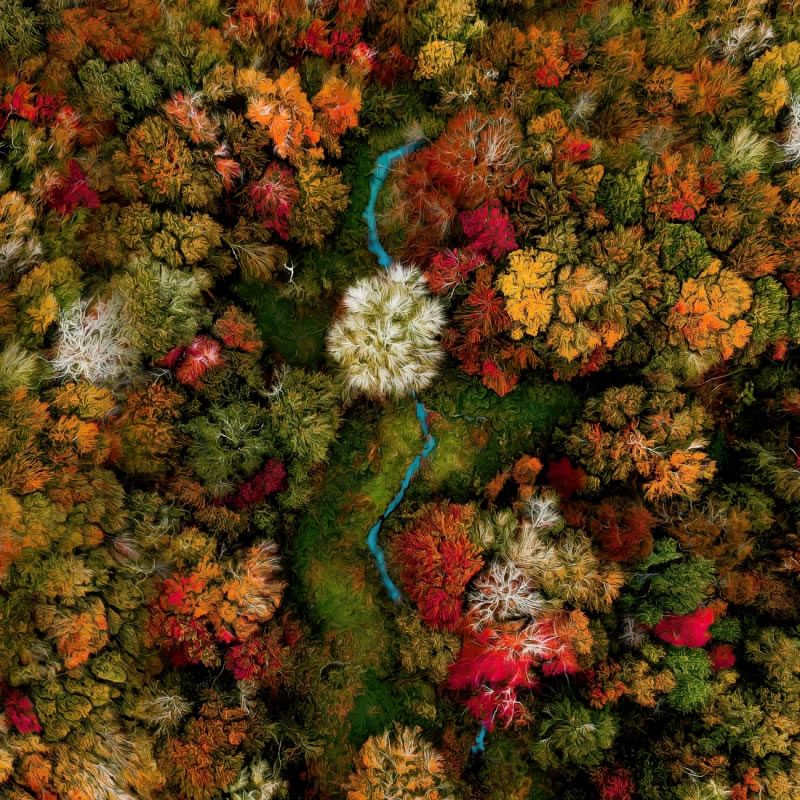 Abstract Drone Photo Awards Winners