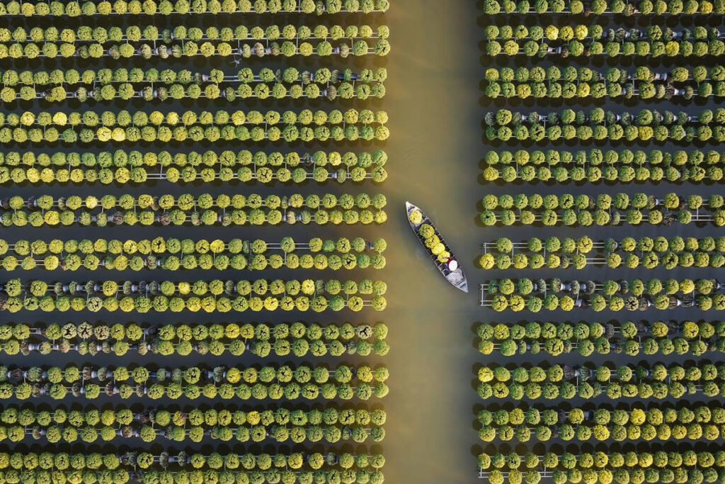 9Th Annual 35 Photography Awards Winners