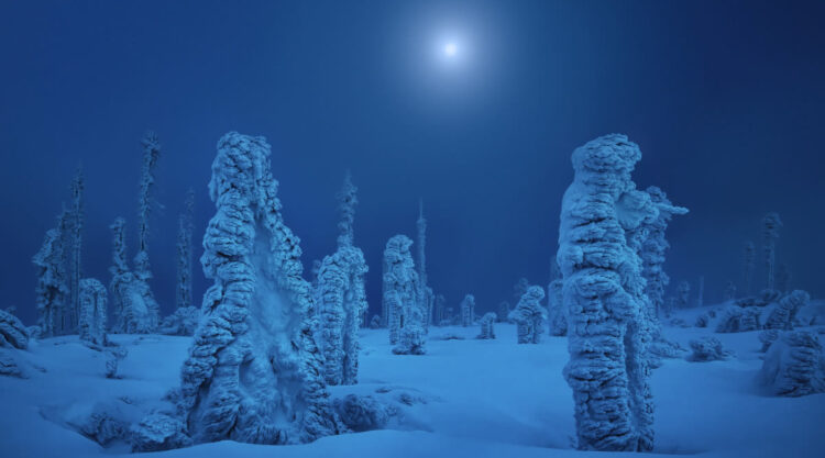 Landscape Photography Of Winter By Kilian Schonberger