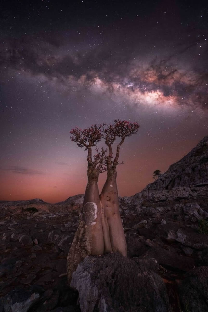 Milky Photographer Of The Year 2024 Winners