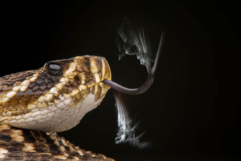 GDT Nature Photography Awards Winners