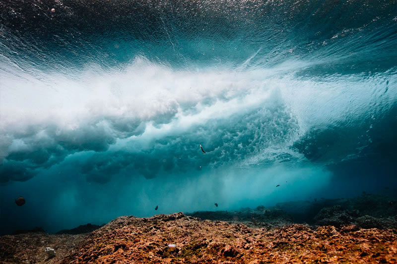 Breathtaking Underwater Photography By Matt Porteous