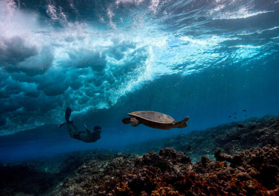 Photographer Matt Porteous Captures Breathtaking Underwater Photography Of The Maldives