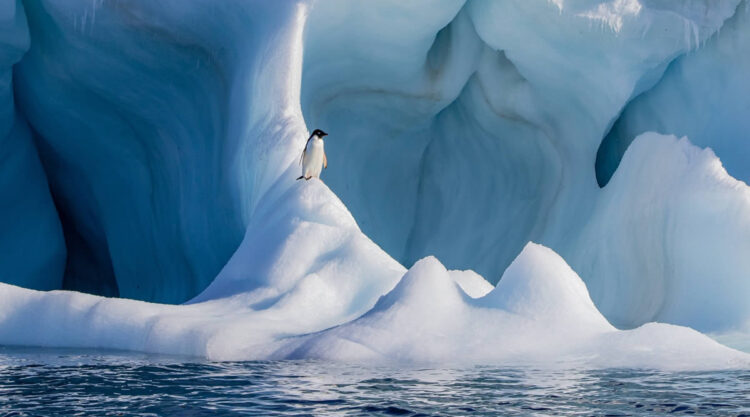 1839 Nature Color Photography Awards