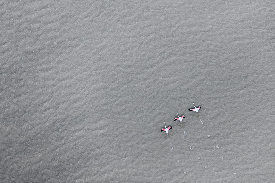 Breathtaking Aerial Nature Photos Of South Africa By Zack Seckler