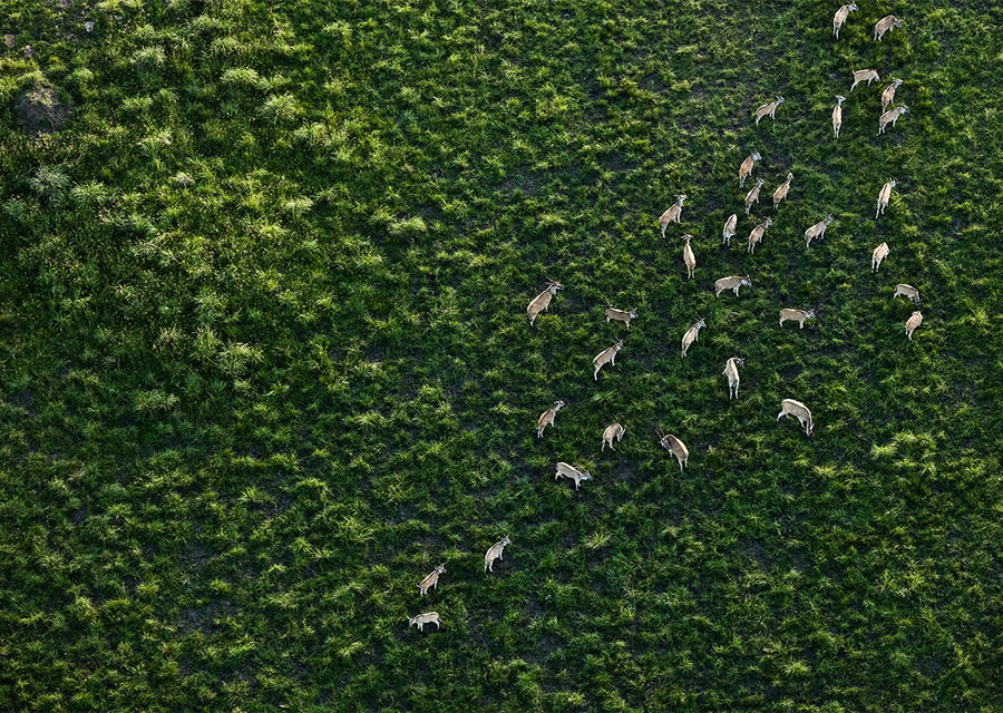 Breathtaking Aerial Nature Photos Of South Africa By Zack Seckler