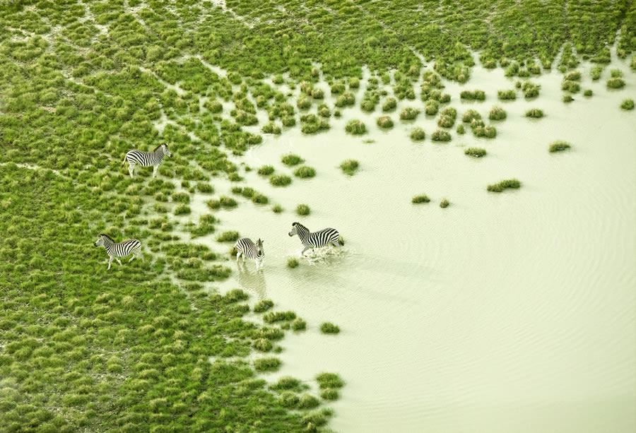 Breathtaking Aerial Nature Photos Of South Africa By Zack Seckler