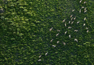 Breathtaking Aerial Nature Photos Of South Africa By Zack Seckler