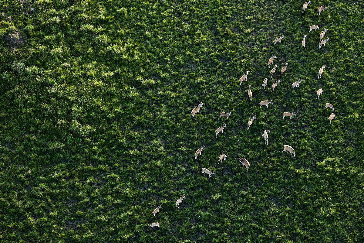 Photographer Zack Seckler Captures Breathtaking Aerial Nature Photos Of South Africa