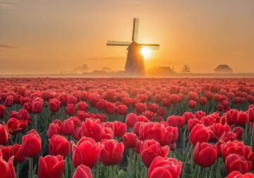 Beautiful And Colorful Netherlands Photos