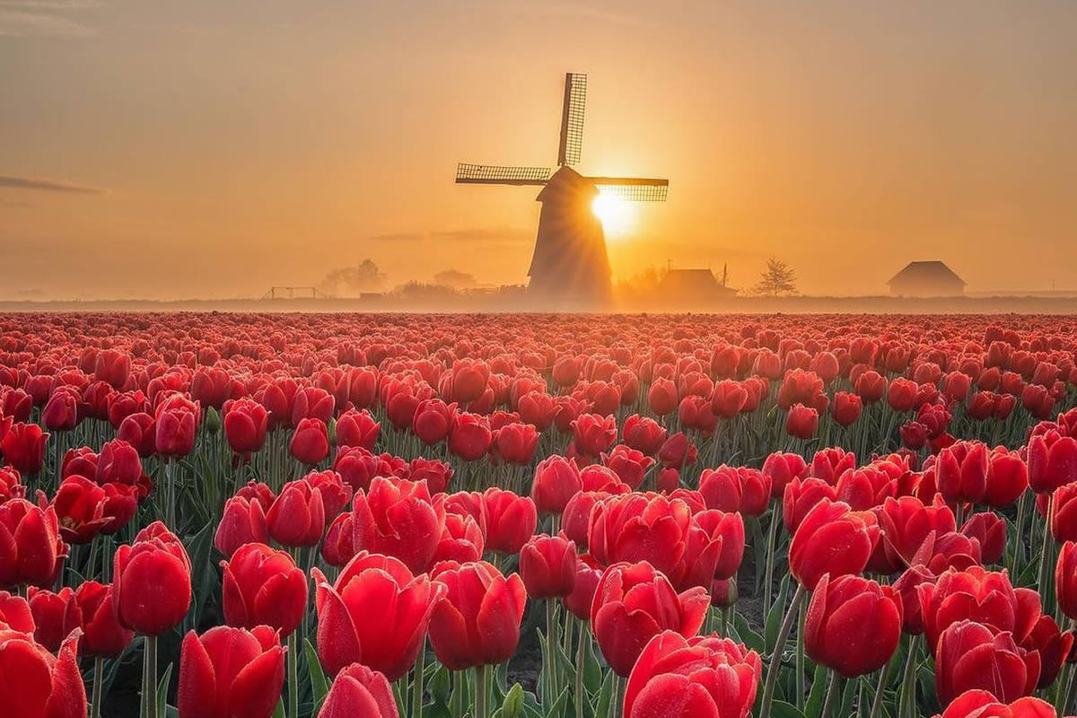 Beautiful And Colorful Netherlands Photos