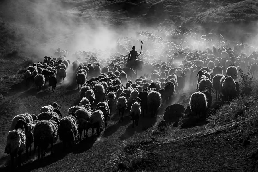 Black And White-Winning Photos From The 35 Photography Awards