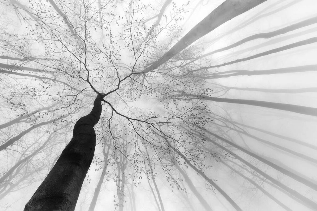 Black And White-Winning Photos From The 35 Photography Awards