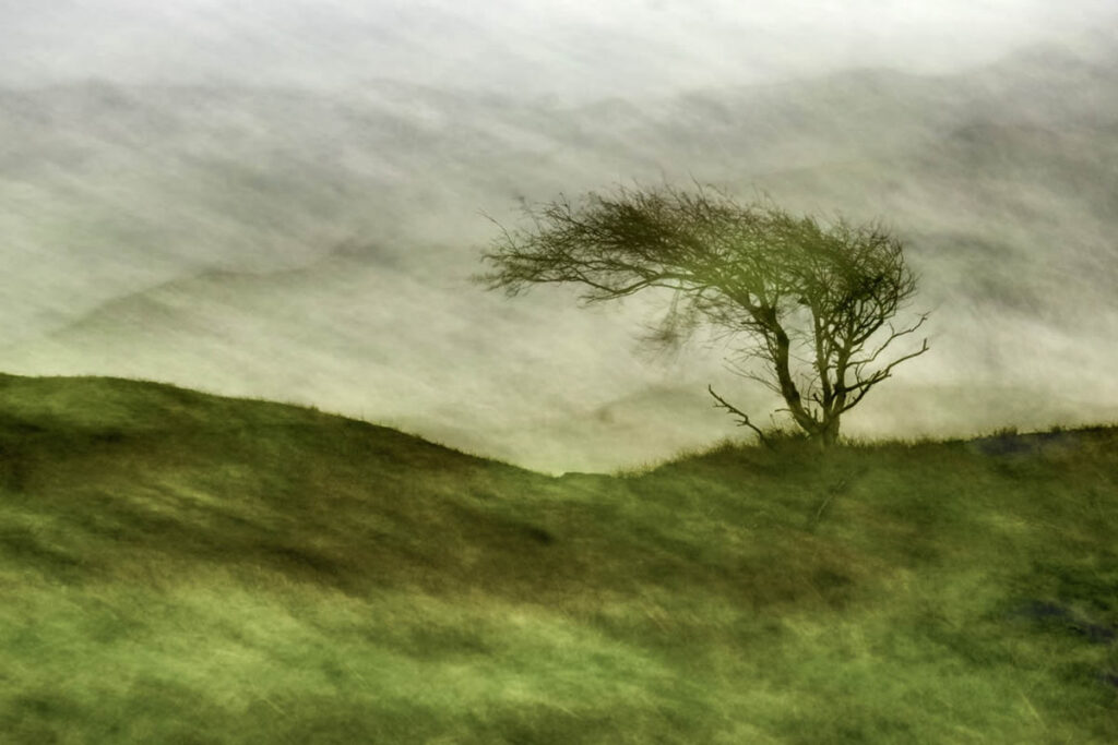 GDT Photographer Of The Year 2024 Nature Winners