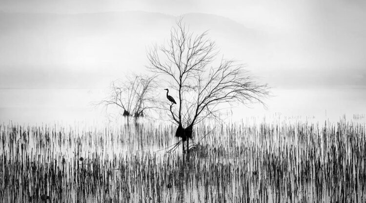 In the Mist Fine Art Landscapes By George Digalakis