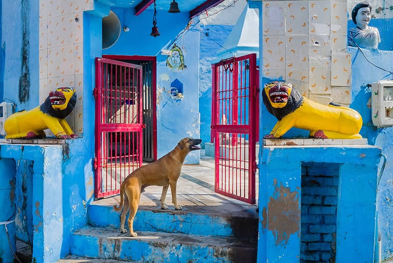 Indian Street Photography Decisive Moments By Vineet Vohra