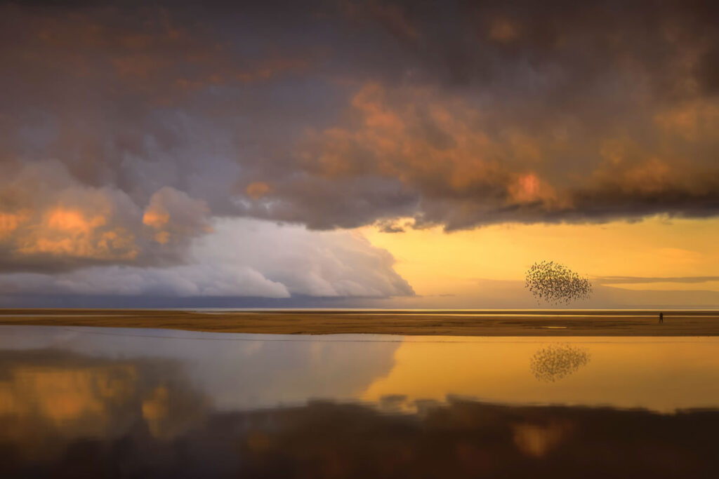 Quiet Landscapes By Darrel Rhea