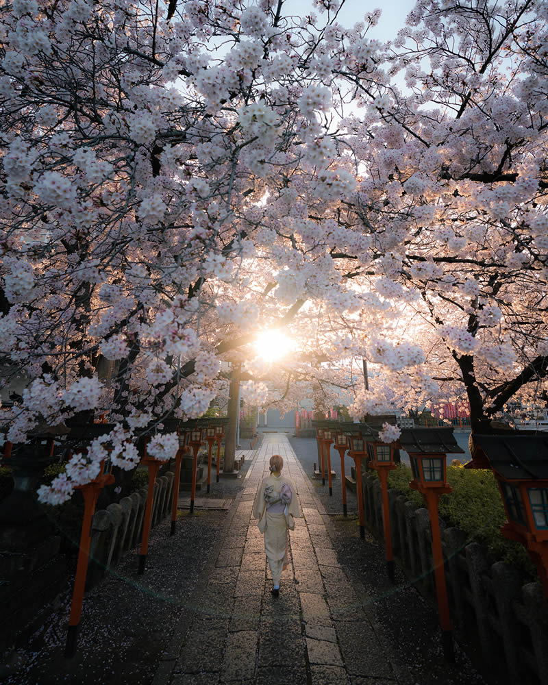 Spring In Japan By Hisa Matsumura