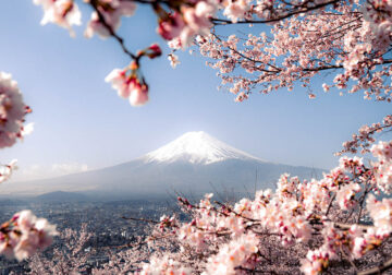 Spring In Japan By Hisa Matsumura