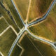 Aerial Photography Of Vineyards By Tiago And Tania