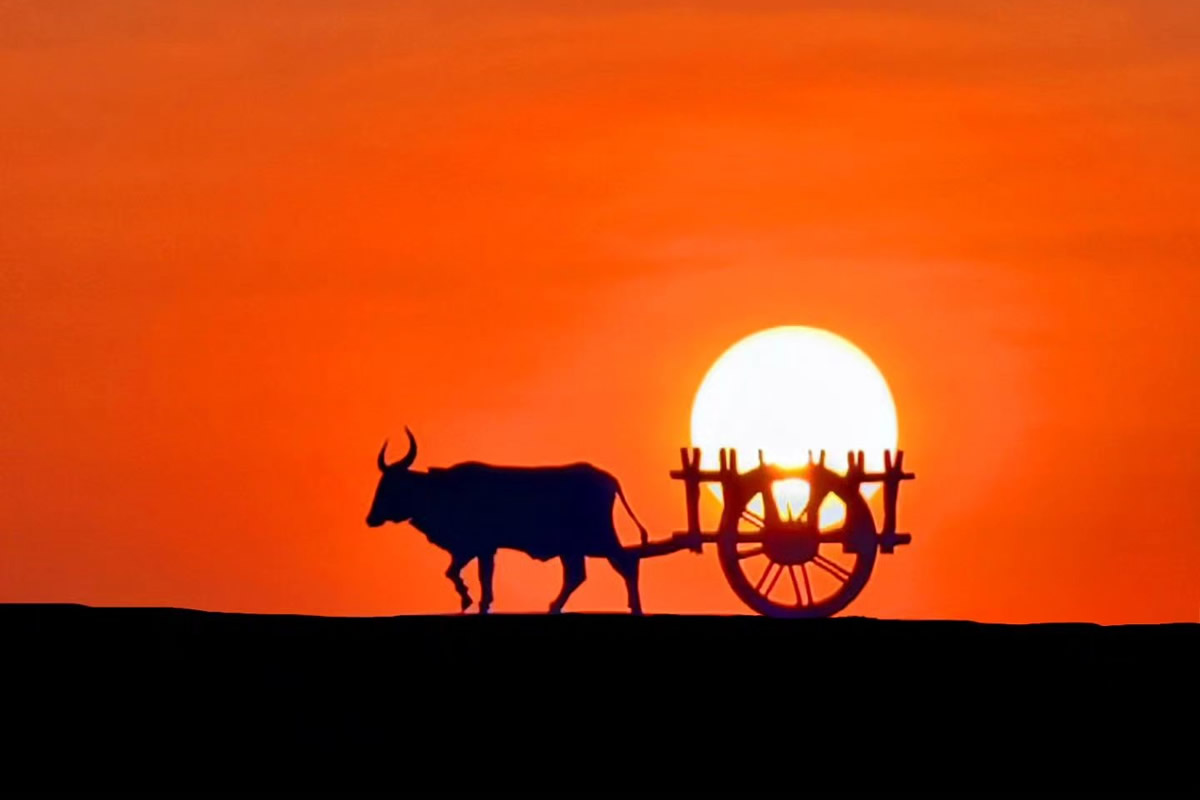 Golden Hour Photography By Aaditya Bhat