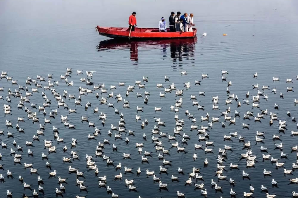 Indian Street And Travel Photography By Navin Kumar Vatsa