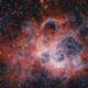 James Webb Space Telescope Photos Of 2024