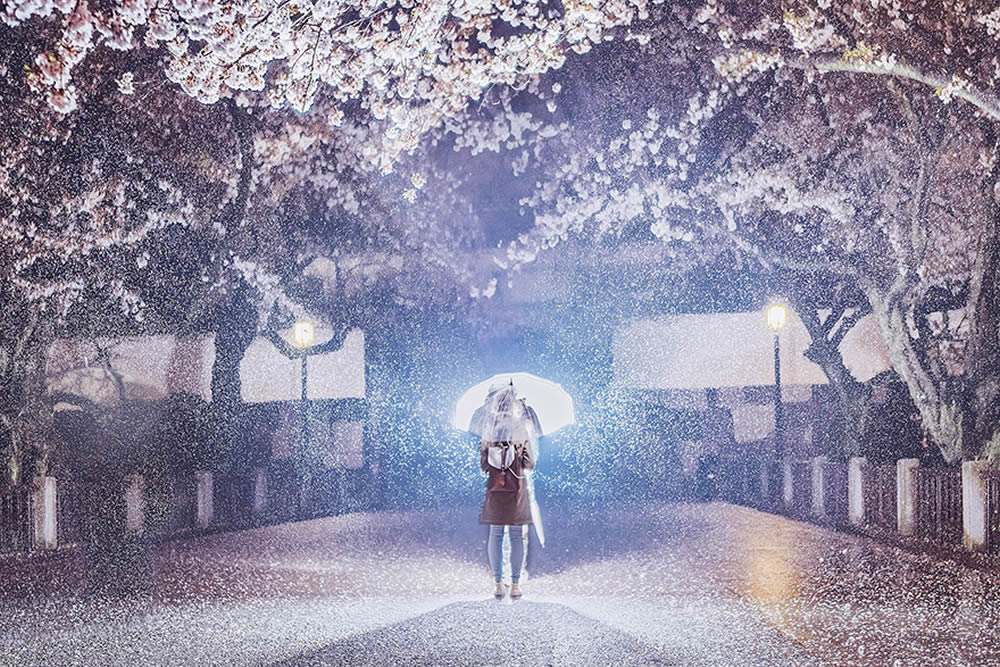 Japan Travel Photography By Kristina Makeeva