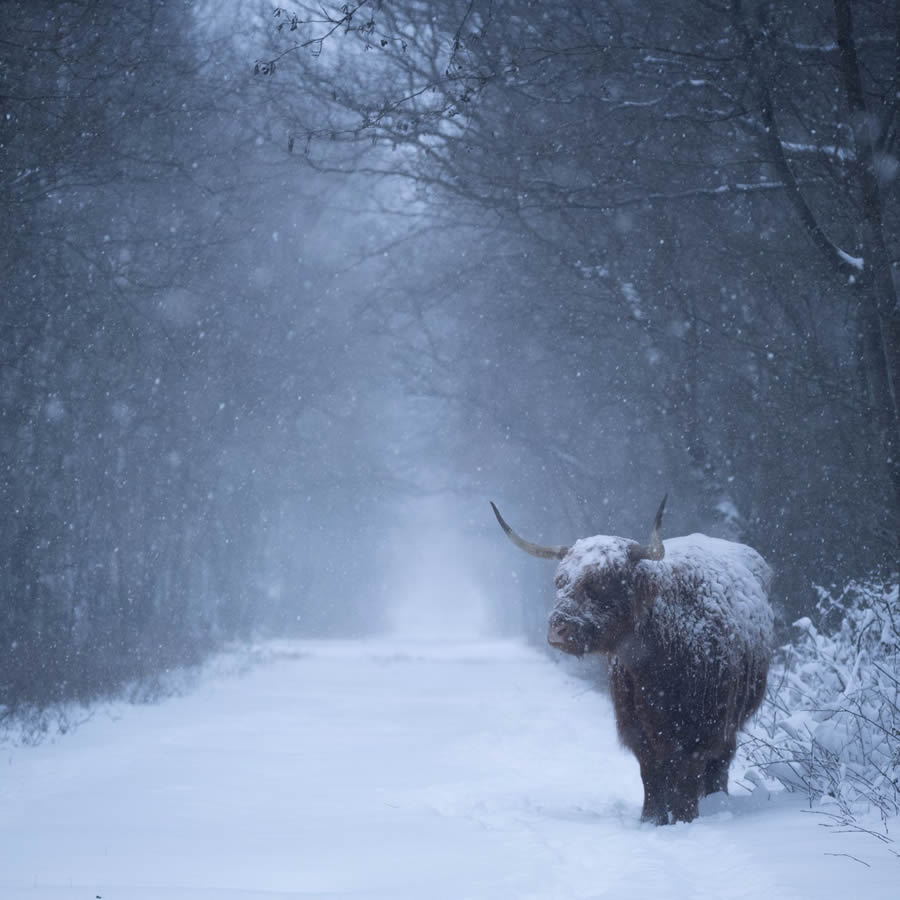 Landscape And Travel Photography By Vincent Croce