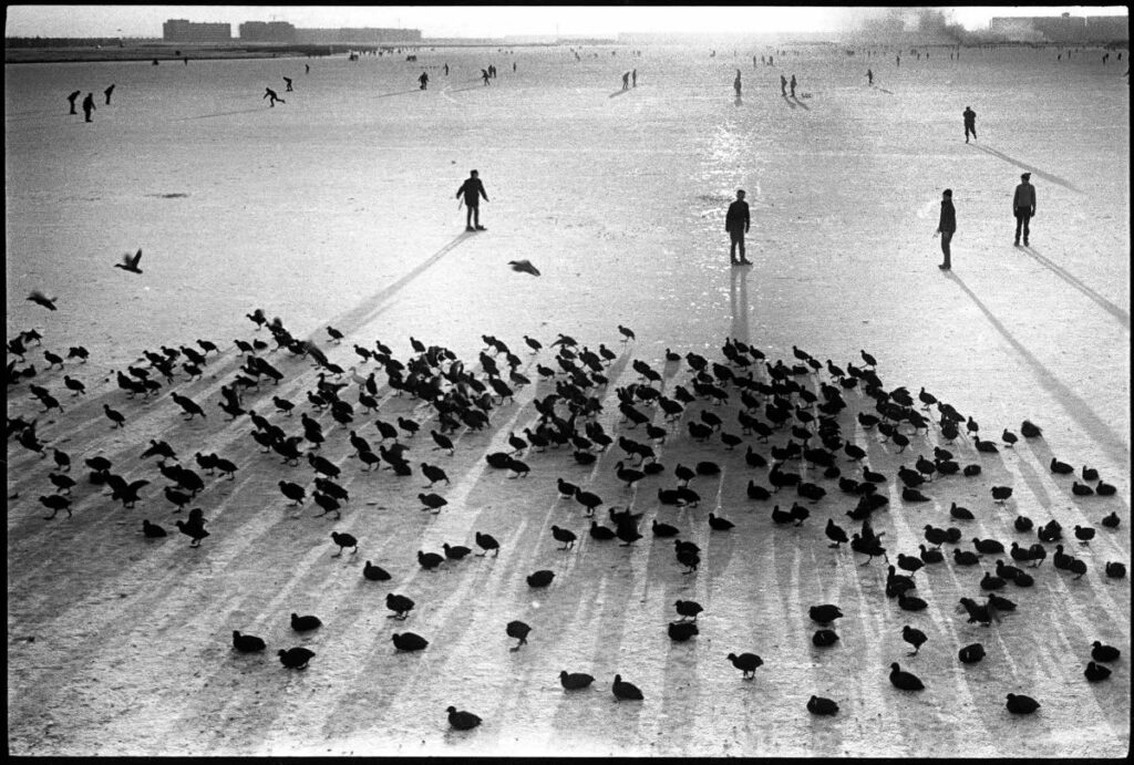 Black and White Masters Of Photography