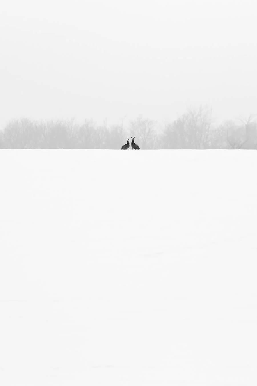 Minimalism Black And White Photography Awards