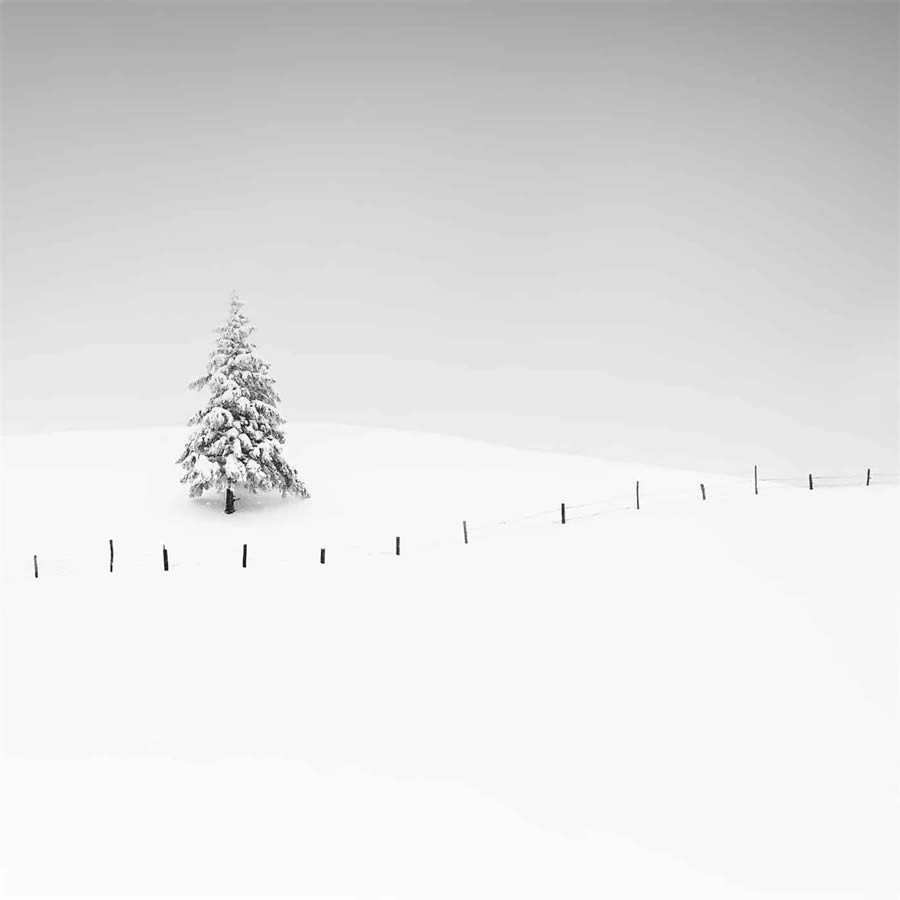 Minimalism Black And White Photography Awards