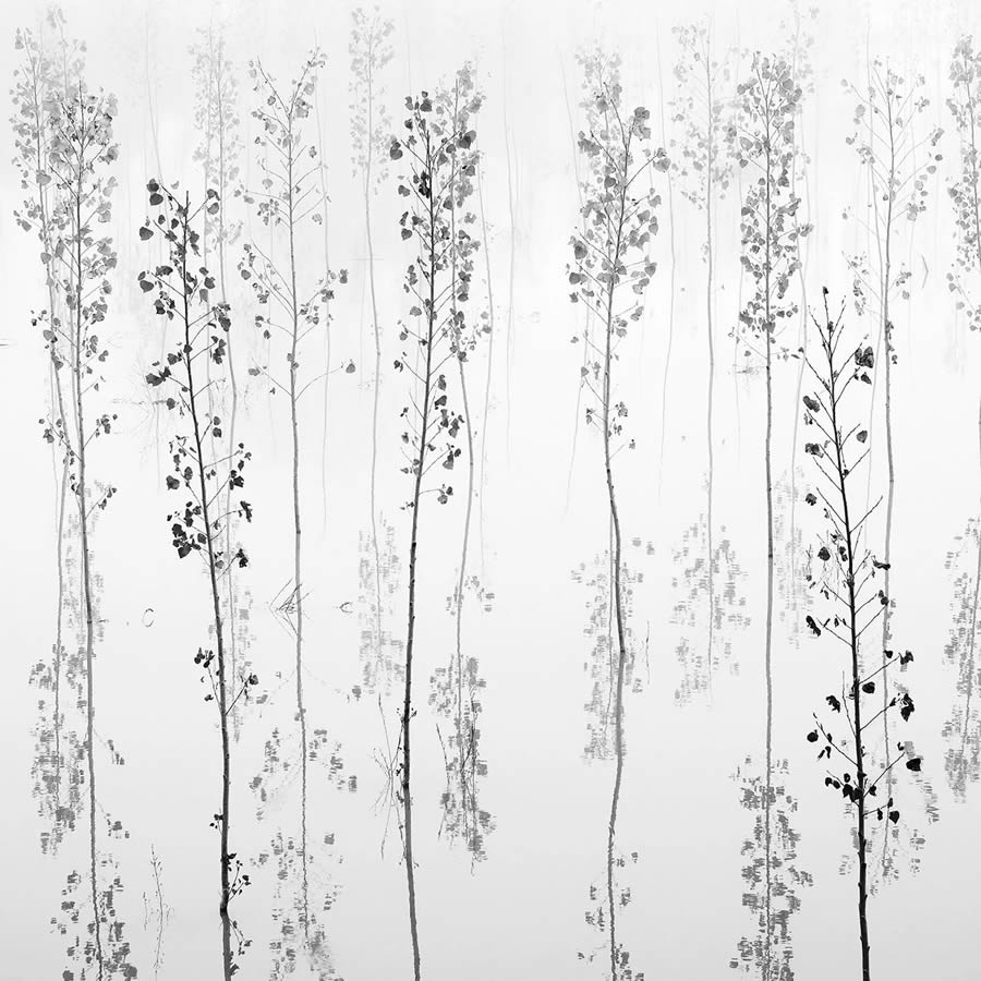 Minimalism Black And White Photography Awards