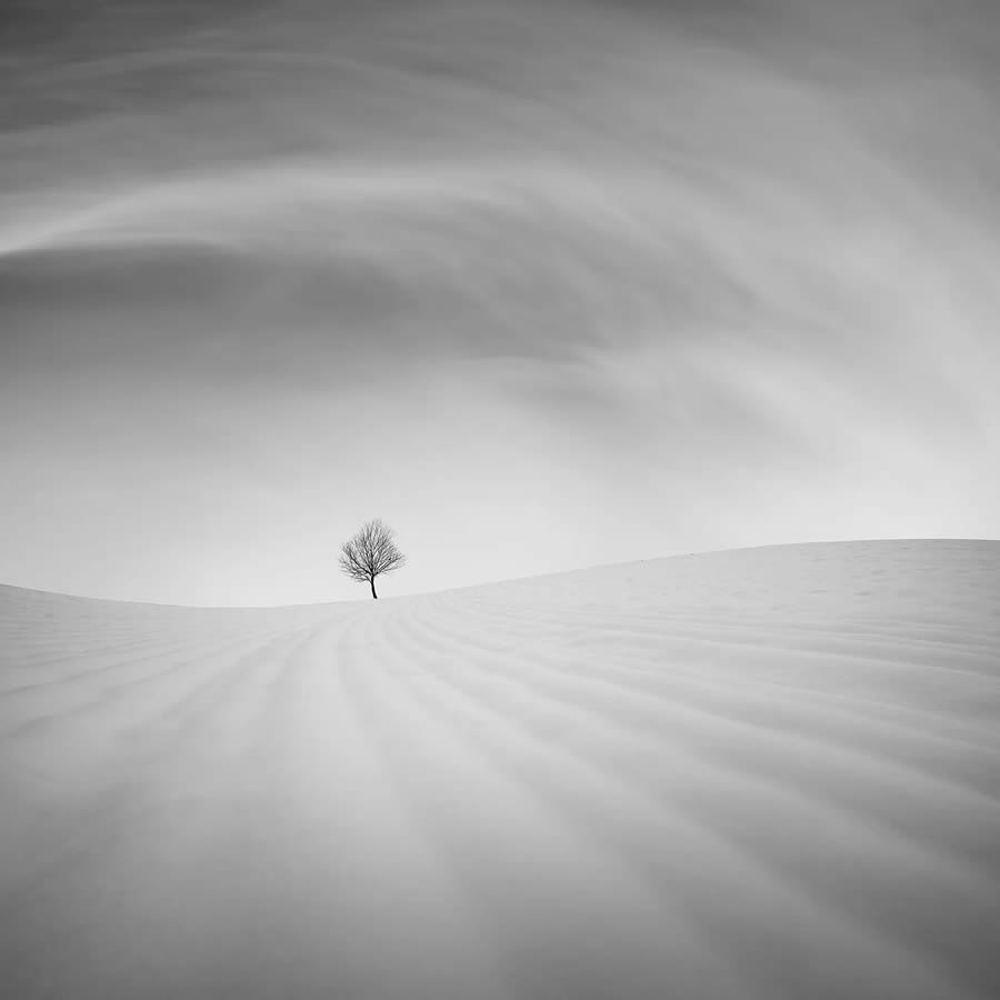 Minimalism Black And White Photography Awards