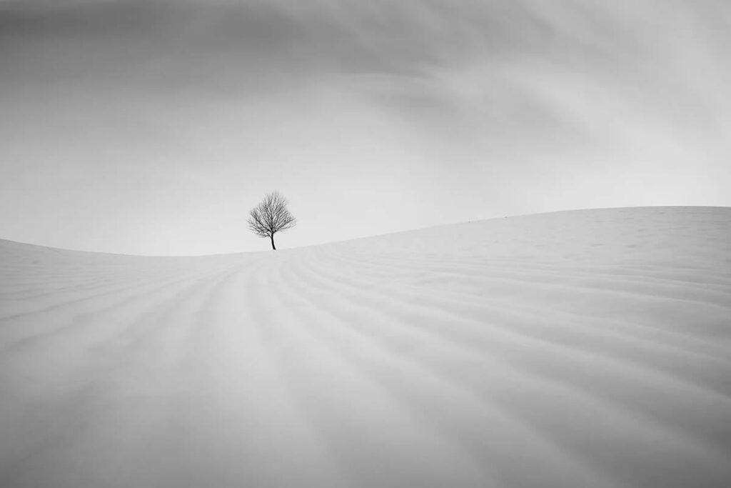 Minimalism Black And White Photography Awards
