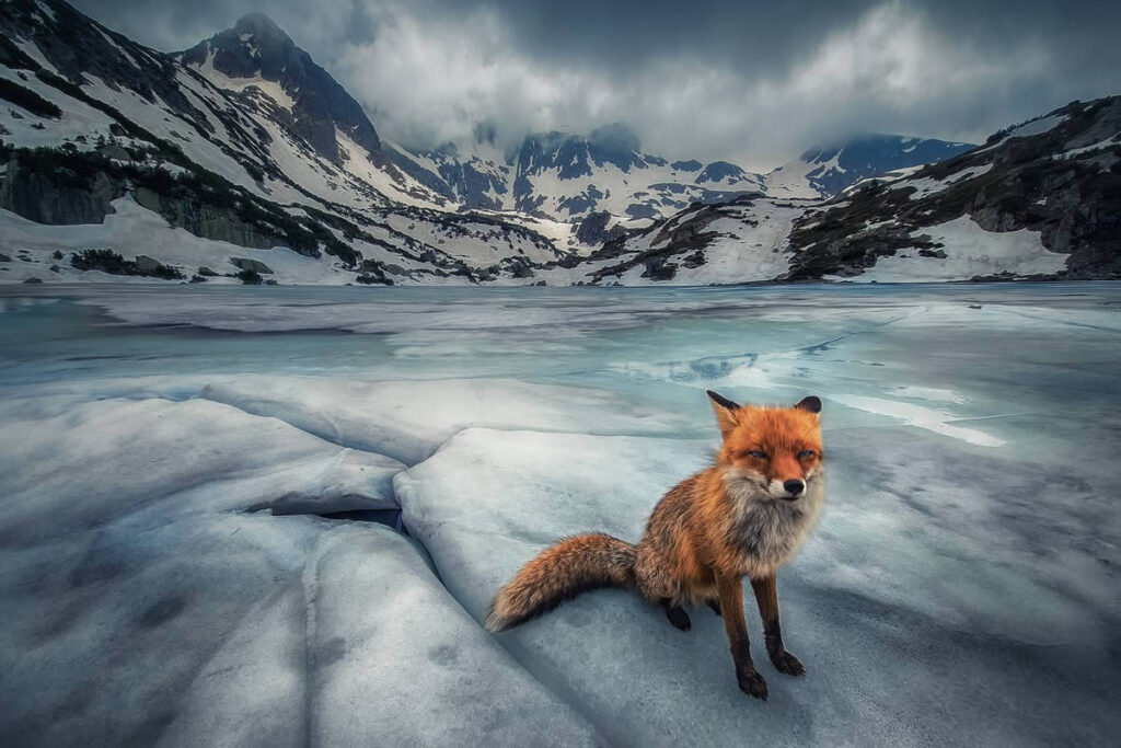 35 Awards Mobile Photography Winners