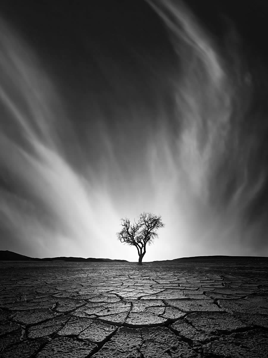 Landscape Winners Of Monochrome Photography Awards