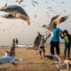 Street Photography In Mumbai By Suresh Naganathan