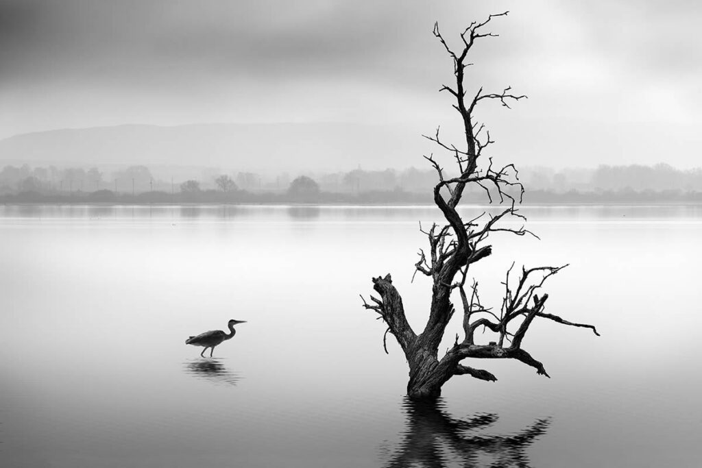 Northern Lakes Greece by George Digalakis