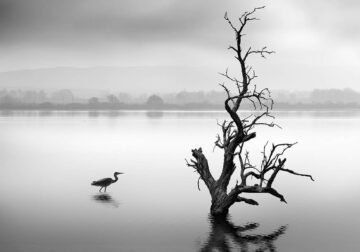 Northern Lakes Greece by George Digalakis