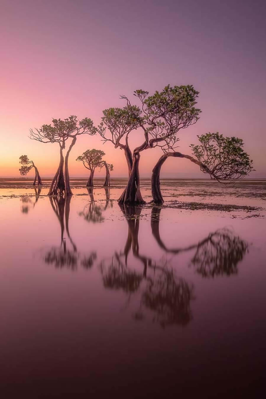 One Eyeland Landscape Photography Winners