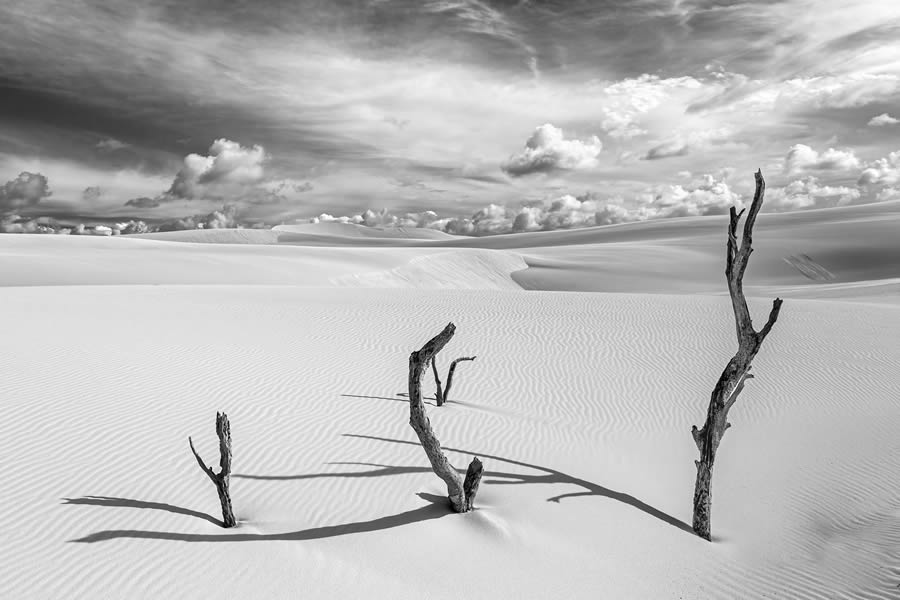 Landscape One Shot Black And White Photography Awards