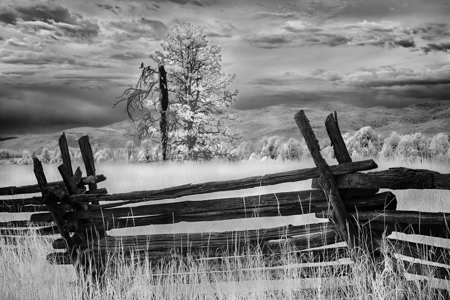 Landscape One Shot Black And White Photography Awards