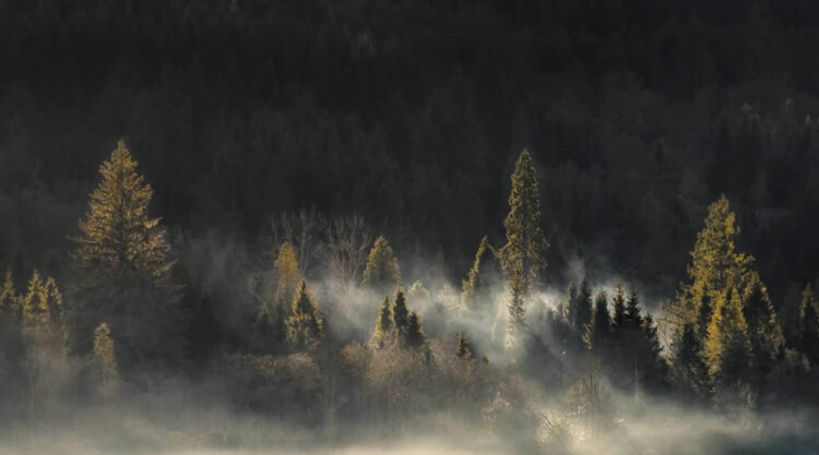 Scottish Landscape Photographer Of The Year 2024