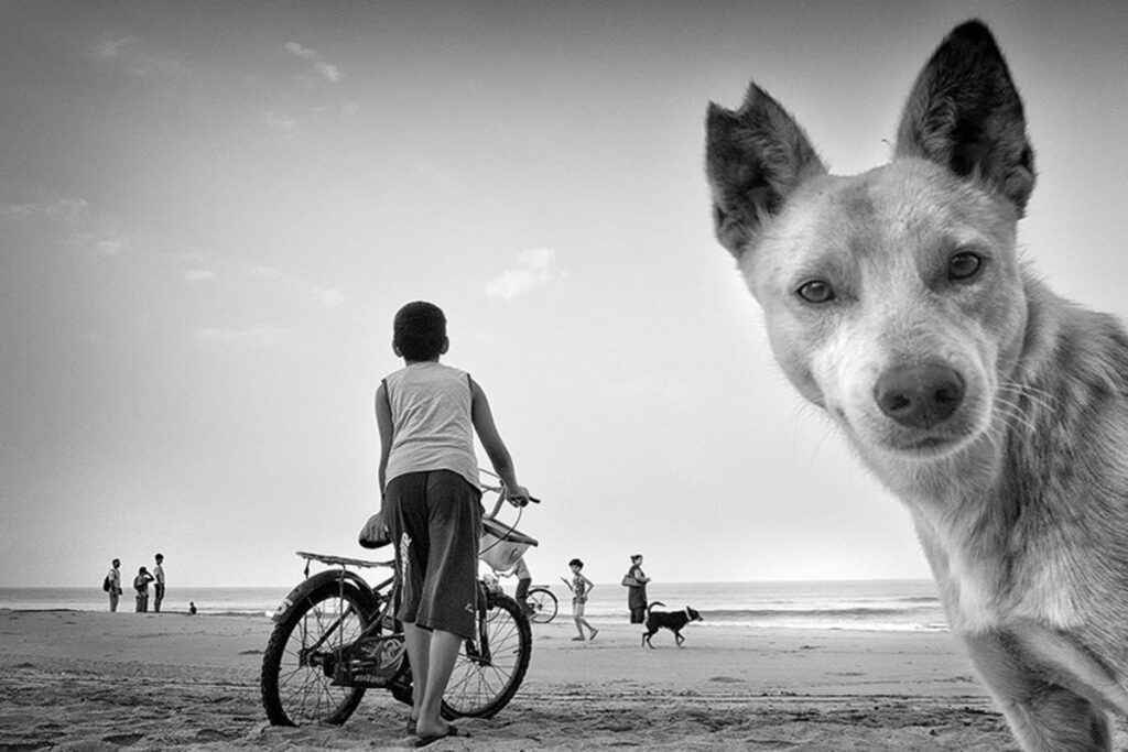 Black and White Street Photography Composition